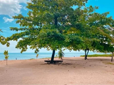Dang Sea Beach Resort – Fotos 16